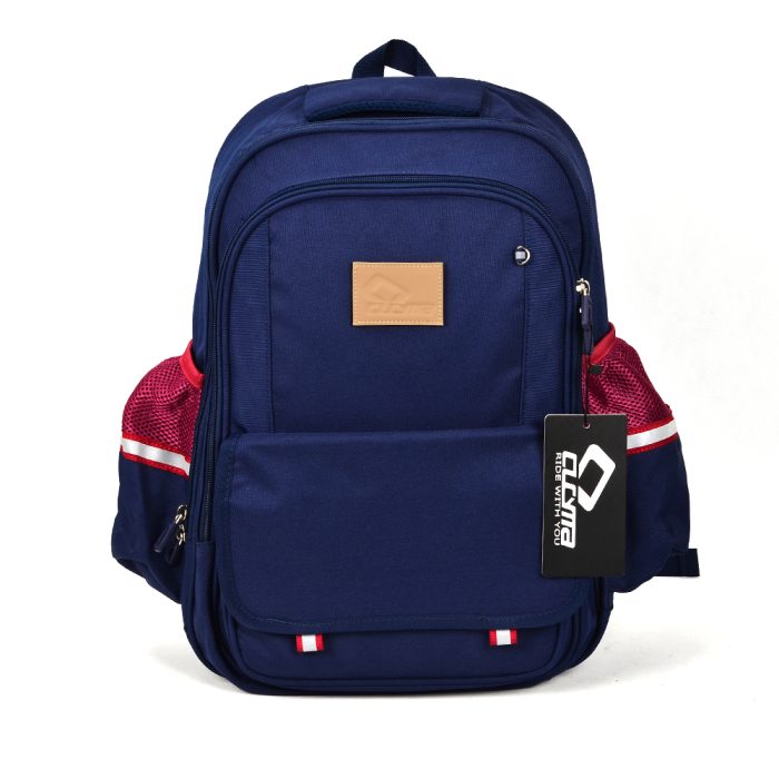 Randsels (Japanese school satchels)
